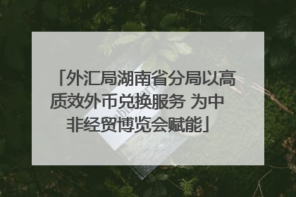 外汇局湖南省分局以高质效外币兑换服务 为中非经贸博览会赋能