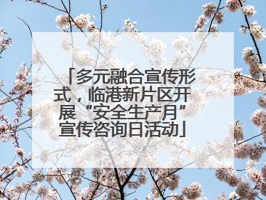 多元融合宣传形式，临港新片区开展“安全生产月”宣传咨询日活动