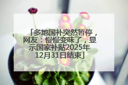 多地国补突然暂停，网友：慢慢变味了，显示国家补贴2025年12月31日结束