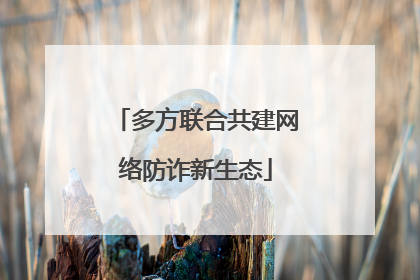 多方联合共建网络防诈新生态