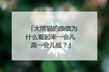 大熊猫的颜值为什么看起来一会儿高一会儿低？