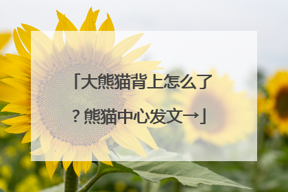 大熊猫背上怎么了？熊猫中心发文→