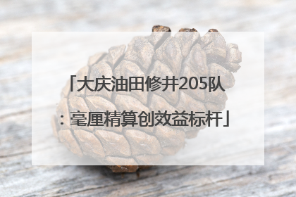 大庆油田修井205队：毫厘精算创效益标杆
