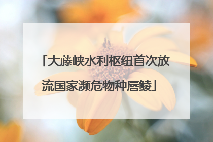 大藤峡水利枢纽首次放流国家濒危物种唇鲮