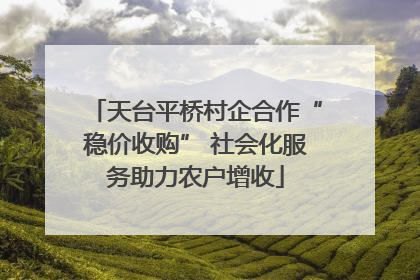 天台平桥村企合作“稳价收购” 社会化服务助力农户增收