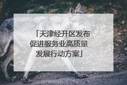 天津经开区发布促进服务业高质量发展行动方案