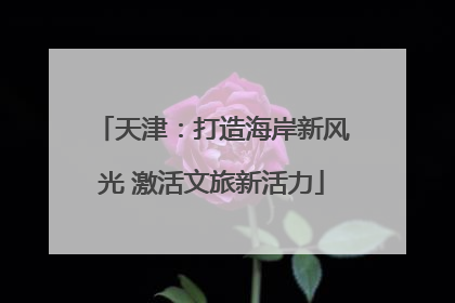 天津：打造海岸新风光 激活文旅新活力