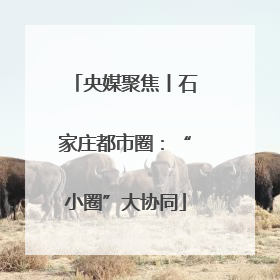 央媒聚焦丨石家庄都市圈：“小圈”大协同