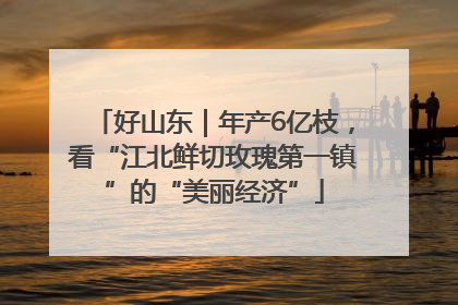 好山东｜年产6亿枝，看“江北鲜切玫瑰第一镇”的“美丽经济”