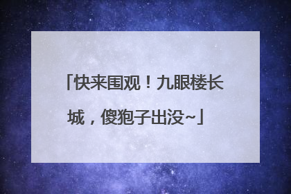 快来围观！九眼楼长城，傻狍子出没~