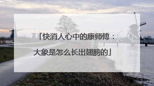 快消人心中的康师傅：大象是怎么长出翅膀的