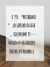 当“虹猫娃”走进淮东园，皂荚树下一场幼小衔接的探索开始啦