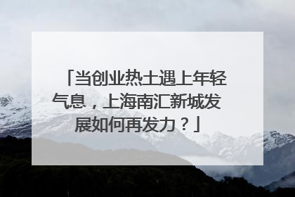 当创业热土遇上年轻气息，上海南汇新城发展如何再发力？