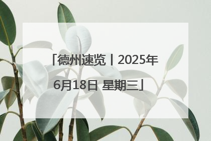 德州速览丨2025年6月18日 星期三