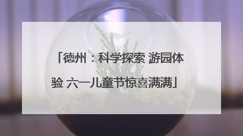 德州：科学探索 游园体验 六一儿童节惊喜满满