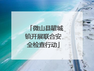 微山县驩城镇开展联合安全检查行动