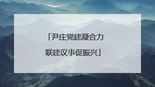 尹庄党建凝合力 联建议事促振兴