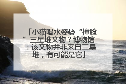 小猫喝水姿势“撞脸”三星堆文物？博物馆：该文物并非来自三星堆，有可能是它