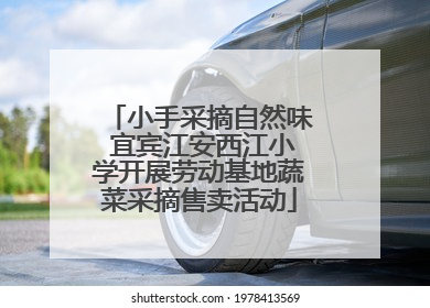 小手采摘自然味 宜宾江安西江小学开展劳动基地蔬菜采摘售卖活动