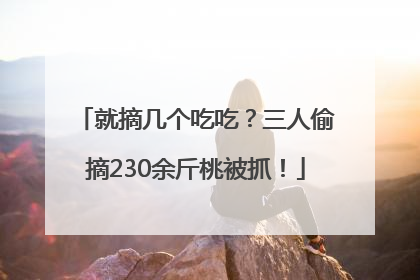 就摘几个吃吃？三人偷摘230余斤桃被抓！