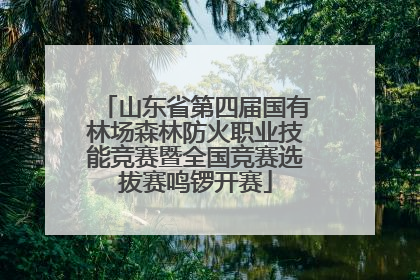 山东省第四届国有林场森林防火职业技能竞赛暨全国竞赛选拔赛鸣锣开赛