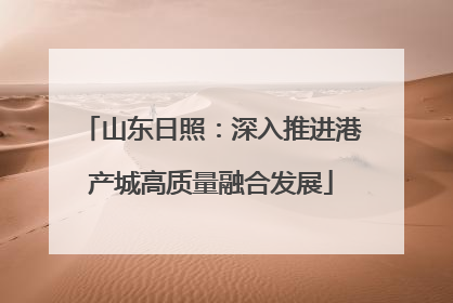 山东日照：深入推进港产城高质量融合发展