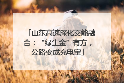 山东高速深化交能融合：“绿生金”有方，公路变成充电宝