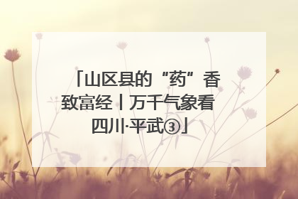 山区县的“药”香致富经丨万千气象看四川·平武③