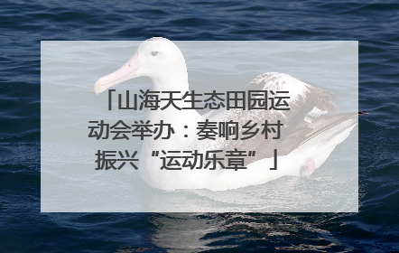 山海天生态田园运动会举办：奏响乡村振兴“运动乐章”