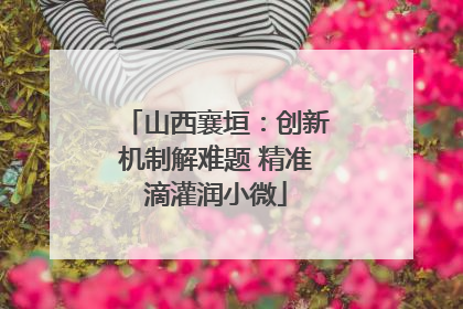 山西襄垣：创新机制解难题 精准滴灌润小微