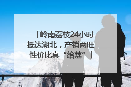 岭南荔枝24小时抵达湖北，产销两旺性价比真“给荔”