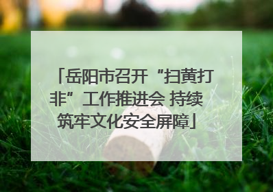 岳阳市召开“扫黄打非”工作推进会 持续筑牢文化安全屏障