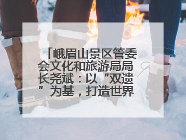 峨眉山景区管委会文化和旅游局局长尧斌：以“双遗”为基，打造世界级文旅品牌与国际典范