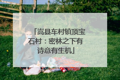 嵩县车村镇顶宝石村：密林之下有诗意有生机