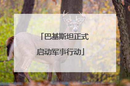 巴基斯坦正式启动军事行动