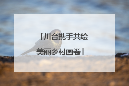 川台携手共绘美丽乡村画卷