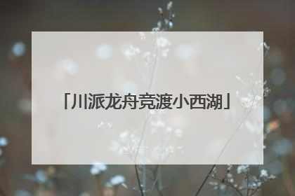 川派龙舟竞渡小西湖
