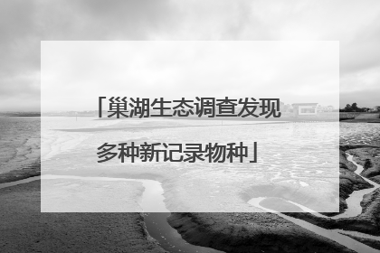 巢湖生态调查发现多种新记录物种
