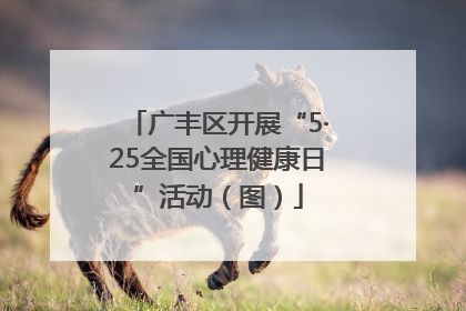 广丰区开展“5·25全国心理健康日”活动（图）