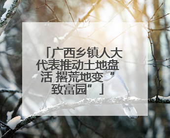广西乡镇人大代表推动土地盘活 撂荒地变“致富园”
