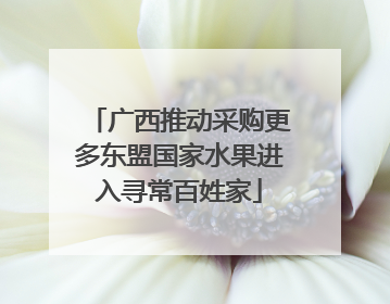 广西推动采购更多东盟国家水果进入寻常百姓家