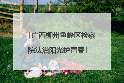 广西柳州鱼峰区检察院法治阳光护青春