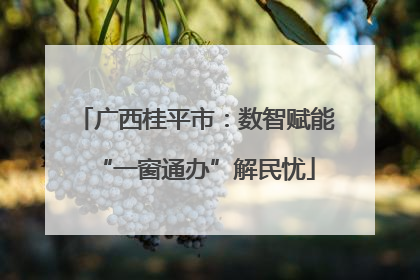 广西桂平市：数智赋能“一窗通办”解民忧