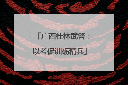 广西桂林武警：以考促训砺精兵