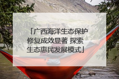 广西海洋生态保护修复成效显著 探索生态惠民发展模式