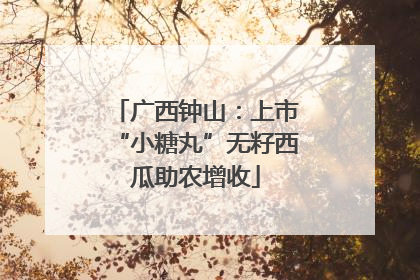 广西钟山：上市“小糖丸”无籽西瓜助农增收