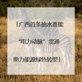 广西首条抽水蓄能“电力动脉”贯通 助力能源绿色转型