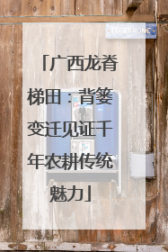 广西龙脊梯田：背篓变迁见证千年农耕传统魅力