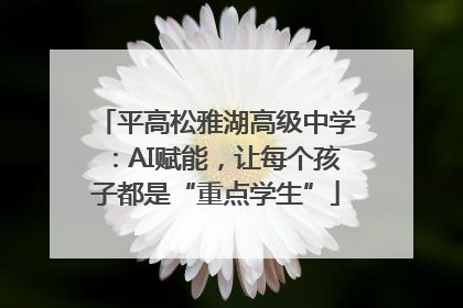 平高松雅湖高级中学：AI赋能，让每个孩子都是“重点学生”