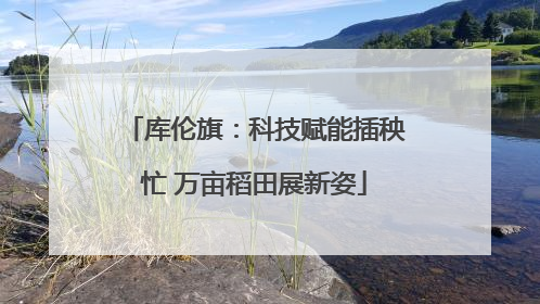 库伦旗：科技赋能插秧忙 万亩稻田展新姿